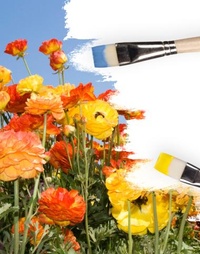 Picture for Operation Self-Discovery, 3 Month Commitment package